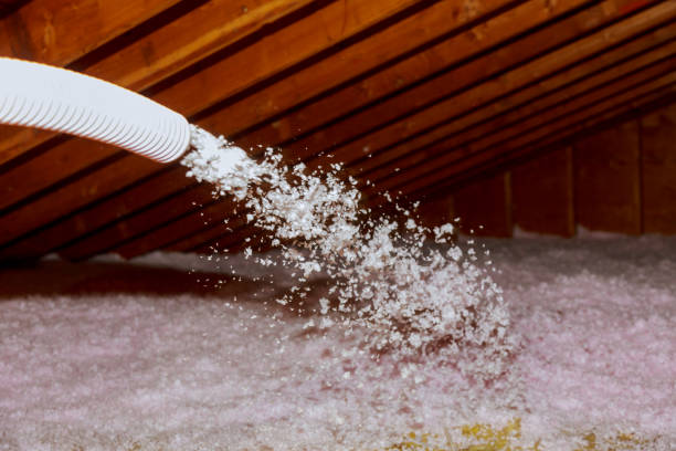 Best Insulation for Specific Applications in Cloverleaf, TX