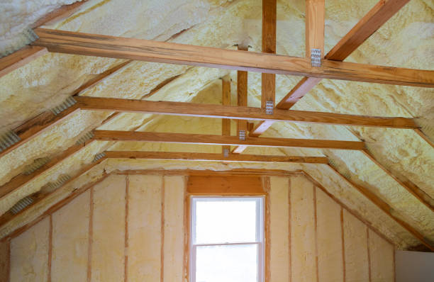Best Commercial Insulation in Cloverleaf, TX
